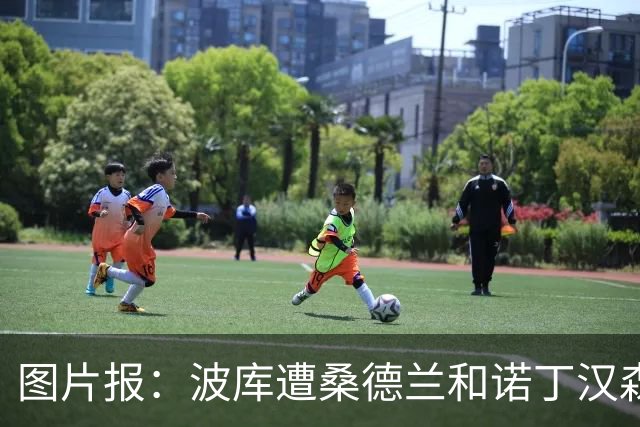 图片报：波库遭桑德兰和诺丁汉森林追逐，勒沃库森愿放人