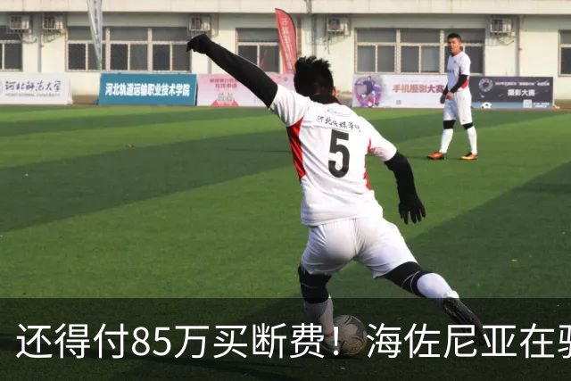 还得付85万买断费！海佐尼亚在骑士年薪280万美元 远不如皇马时期